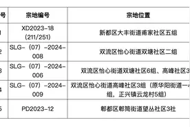 成都10.4亿元成交2宗住宅用地，3宗地块因故终止出让图片