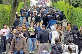 文明祭祀 杭州南山陵园迎来祭扫高峰图片