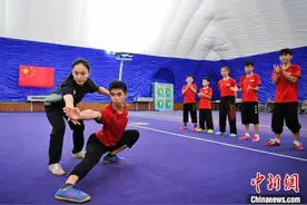 新加坡国家武术队在天津霍元甲文武学校集训交流图片