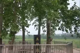 齐鲁最美自然守护者 | 王吉贵：不忘初心使命 竖起鲁西林业战线上的一面旗帜图片