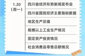 建议收藏！2025年四川省主要统计信息数据发布日程图片