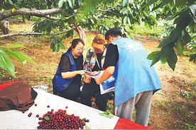 5G助力农忙时节“好丰收”图片