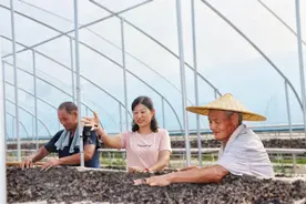 “共富工坊”忙增收图片