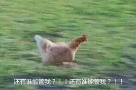 中国真有钱的一群家长，佛系养娃挺狠的。图片