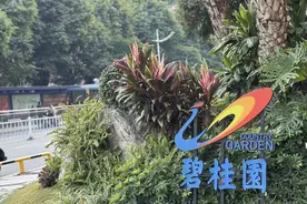 碧桂园，踏上“脱困”之路图片