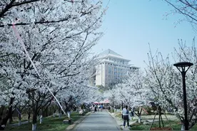 武汉科技大学2024年新增5个本科招生专业图片