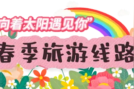 日照春日限定浪漫，花香茶香与星辰大海都给你！图片
