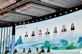 中国人寿副总裁：长周期考核能够鼓励保险资金发挥市场稳定器作用图片
