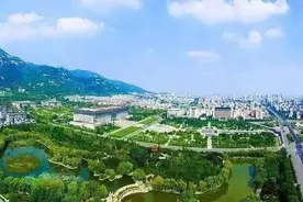 泰安市财政局：财政加码助力，“小番茄”变大“柿”业图片