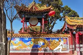 寻古忻州——千年古树的传奇和保护图片