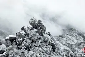 安徽九华山迎降雪 银色雪域似琉璃王国图片