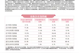新型储能受关注，储能电池ETF（159566）、碳中和100ETF（562990）等产品布局绿色低碳产业发展机遇图片