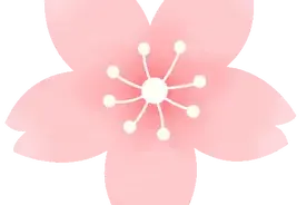 云阳人速来！油菜花田里烫火锅，巴适得很！图片
