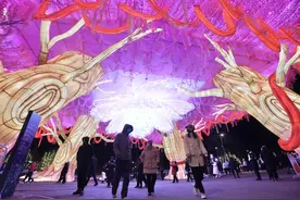 “北京千灯夜”开幕，温榆河公园成璀璨灯海图片
