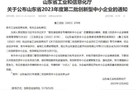 喜报！5家企业获批山东省2023年度第二批创新型中小企业图片