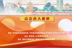 黔图多彩丨贵州云雾大桥：天路飞虹，跨越山河的发展脊梁图片