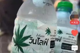 出境游误喝“绿叶水”咋办？律师、旅行社提醒，小心别惹“大麻”烦图片