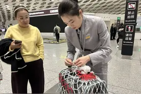 让爱同行！看春运途中的“毛孩子”们图片
