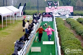 猪猪赛跑、趣味运动会……两岸女同胞相聚婺里展现热辣滚烫“她力量”图片