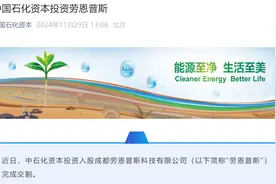 中国石化资本投资劳恩普斯图片