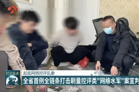 获利4200余万元！7名“网络水军”被严惩图片