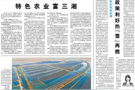特色农业富三湘图片