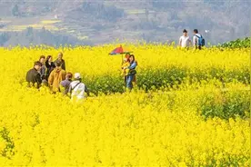 春天里的中国，繁花似锦图片