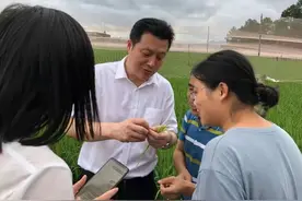 全国人大代表沈仁芳：建议加强我国酸化耕地治理工作图片