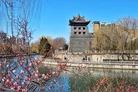 北京号带你逛北京 | 春日限定！京城追花地图来了图片