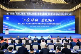 千亿机遇汇聚两江！2025年重庆市“三企”联动首轮项目发布图片