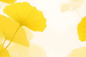 长三角银杏大赏！这个秋天，你被哪片金黄“霸屏”？图片