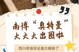 火火火出圈！南充市博物馆一文物撞脸“奥特曼”！图片