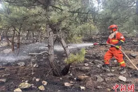 山西壶关山火火情基本得到控制图片