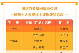 潍坊白浪绿洲湿地公园“最美十大景观”评选结果揭晓图片
