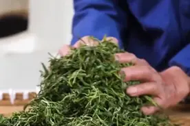 《茶韵浙江》之天台山云雾茶：古老茶叶焕发新生机图片