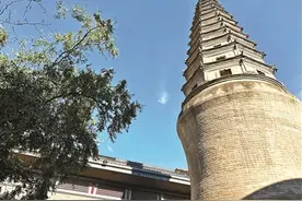 兰博院里有座塔 塔旁有棵枣子树图片