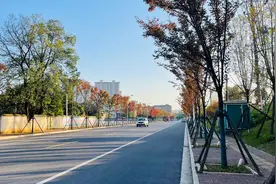 文化为民 文化惠民——资阳区推动公共文化服务高质量发展纪实图片