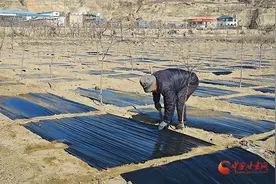 静宁：春耕正当时 果园铺就丰收路图片