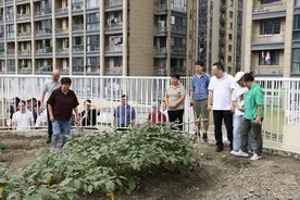 我们有了自己的小菜园！社区和幼儿园深度合作，萌娃们有了劳动基地图片