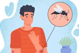 秋天的蚊子叮人更狠！滨州市爱卫办教你科学防蚊灭蚊图片