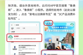 一图教你如何享受山东家电、3C购新补贴图片