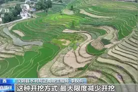 文化中国行丨颜值与智慧并存 秦岭脚下的凤堰梯田你了解多少？图片