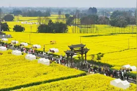 过完春节过春糖 成都崇州天府酒村集市开市啦！图片