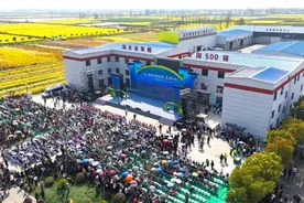 村歌唱响，监利文旅季邀你来打卡图片