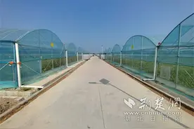 乌龙泉财政所：推进乡村振兴项目补助金3080万元图片