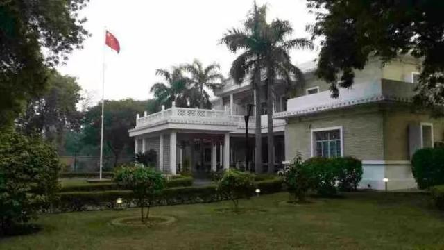 新鲜鮸鱼胶 2026年新鲜鳘鱼胶的功效及吃法