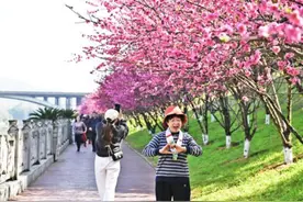 重庆荣昌：十里春风 灼灼其华图片