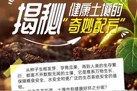 世界土壤日｜揭秘健康土壤的“奇妙配方”图片