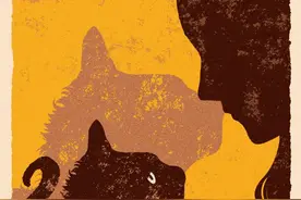 对话｜养猫的人 与世界相处的缩影图片