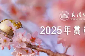 刚刚，武汉大学发布2025年赏樱政策图片